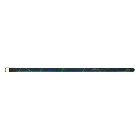 Palace P-LUX BELT BLACK WATCH - Colorway