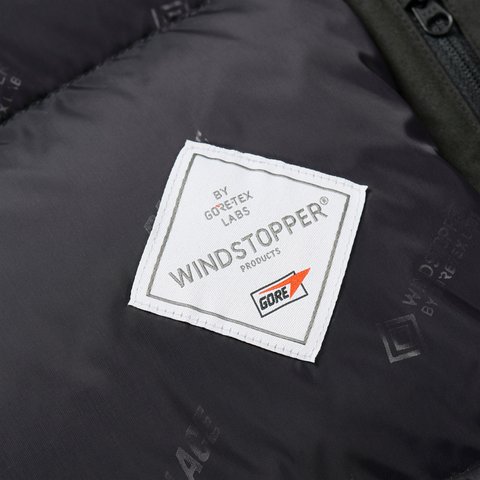 Palace GORE-TEX WINDSTOPPER DOWN PARKA BLACK - Colorway