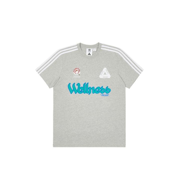 PALACE ADIDAS PALASTE WELLNESS T-SHIRT GREY