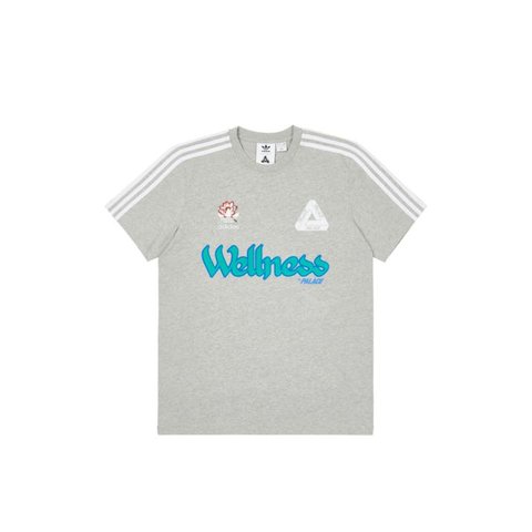 PALACE ADIDAS PALASTE WELLNESS T-SHIRT GREY