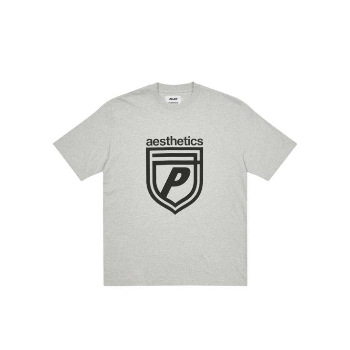 PALACE AESTHETICS T-SHIRT GREY