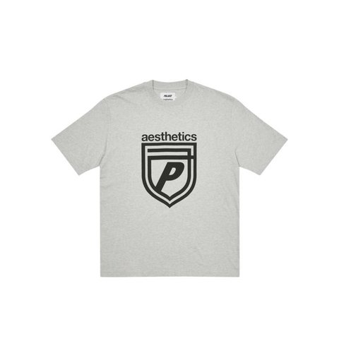Palace PALACE AESTHETICS T-SHIRT GREY