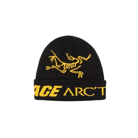 PALACE BEANIE ARC TERYX BLACK