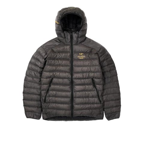 Palace PALACE ARC TERYX PUFFA GREY