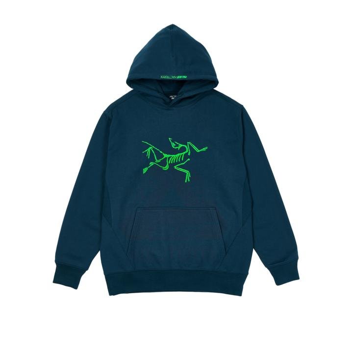 Palace Arcteryx 2020