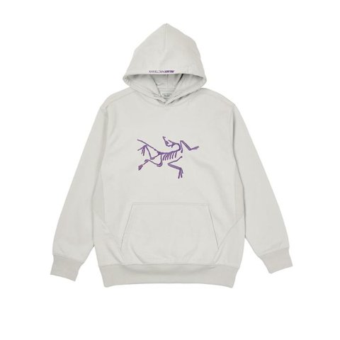 Palace PALACE ARC TERYX HOODIE GREY