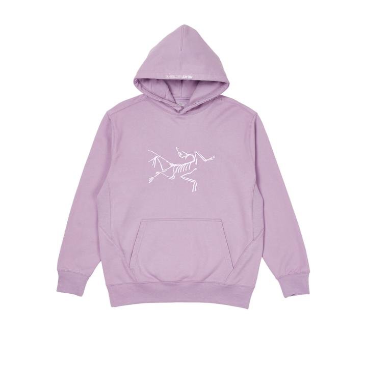 PALACE ARC TERYX HOODIE LILAC