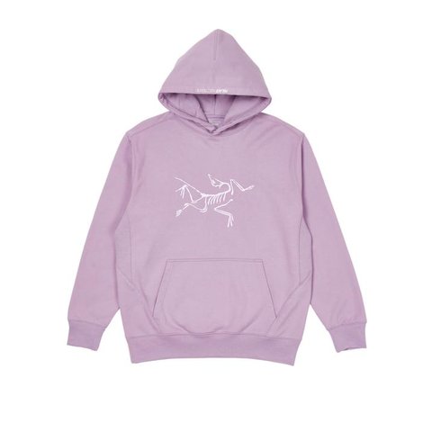 Palace PALACE ARC TERYX HOODIE LILAC