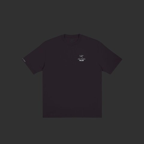 Palace PALACE T-SHIRT ARC TERYX HAZE - Colorway