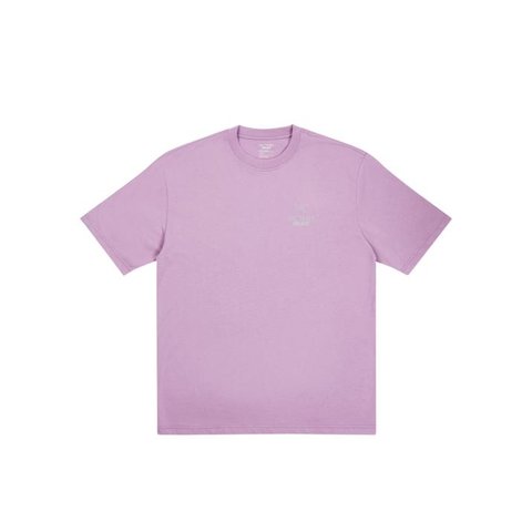 Palace PALACE T-SHIRT ARC TERYX HAZE