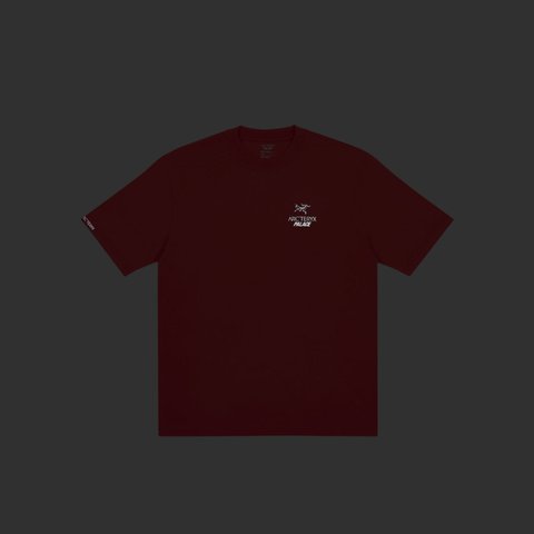 Palace PALACE T-SHIRT ARC TERYX OCHRE - Colorway