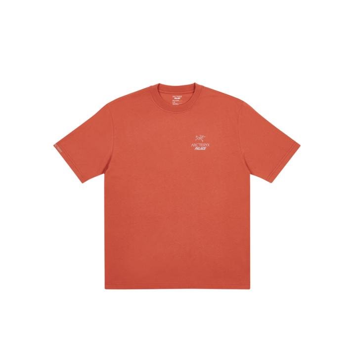 PALACE T-SHIRT ARC TERYX OCHRE