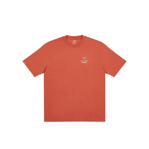 Palace PALACE T-SHIRT ARC TERYX OCHRE