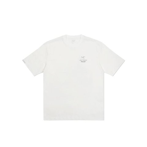 Palace PALACE T-SHIRT ARC TERYX WHITE