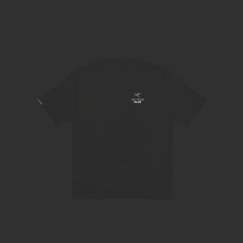 Palace PALACE T-SHIRT ARC TERYX WHITE - Colorway