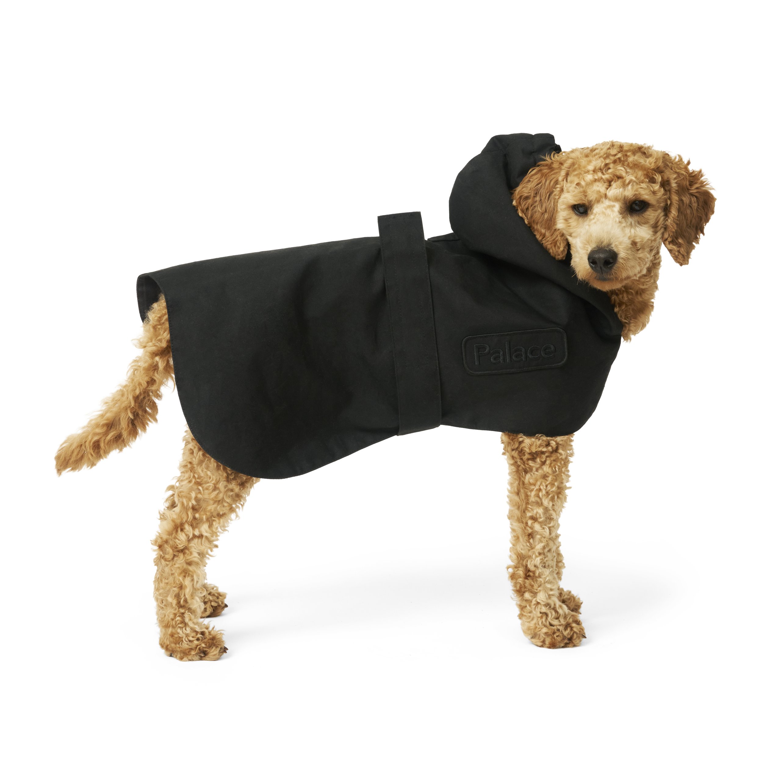 PALACE BARBOUR DOG COAT BLACK - PalaceCommunity