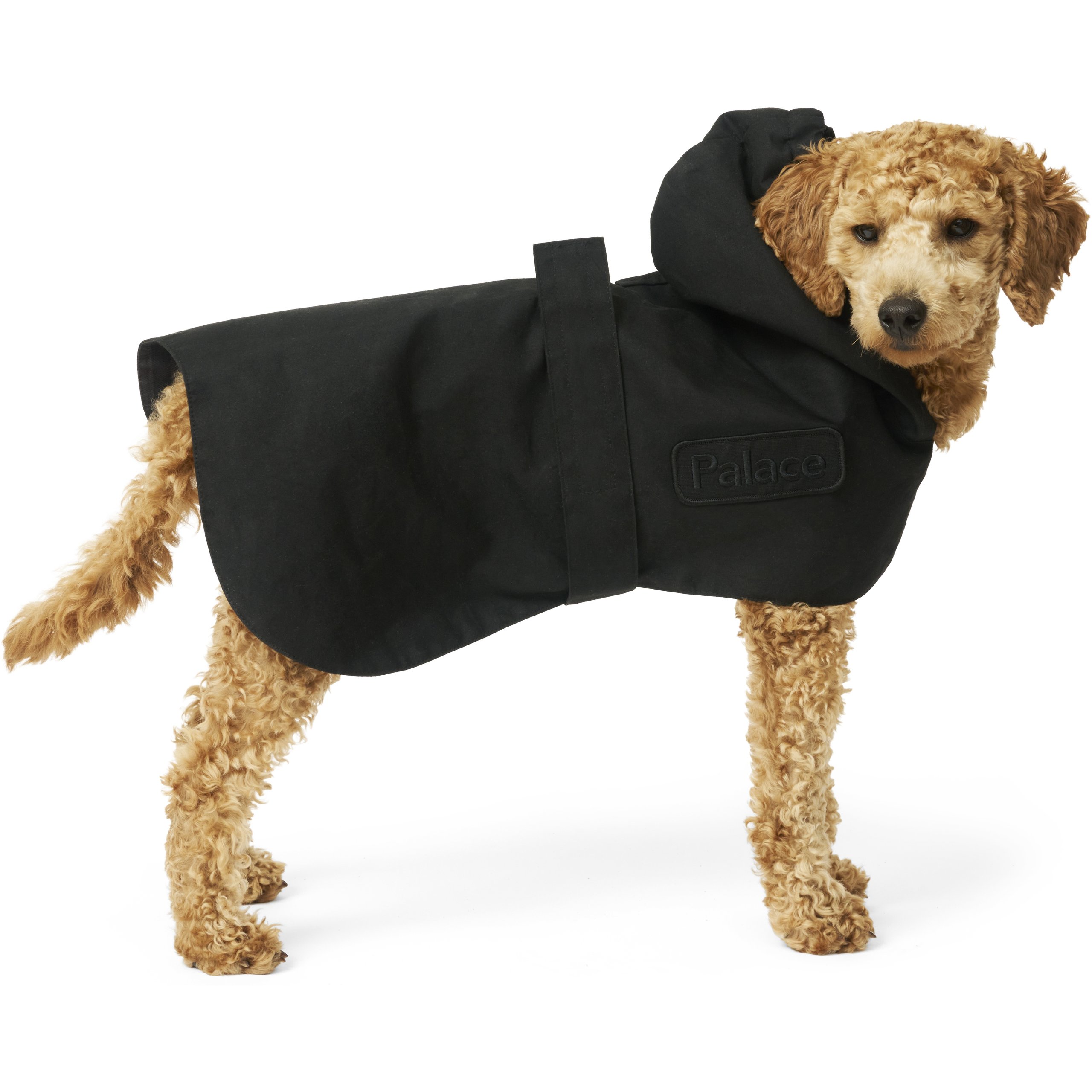 PALACE BARBOUR DOG COAT BLACK
