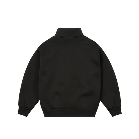 PALACE CARHARTT WIP CARLUX 1/2 ZIP SWEATSHIRT BLACK