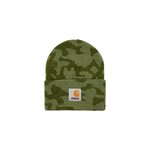 PALACE CARHARTT WIP WATCH HAT DOLLAR GREEN CAMO