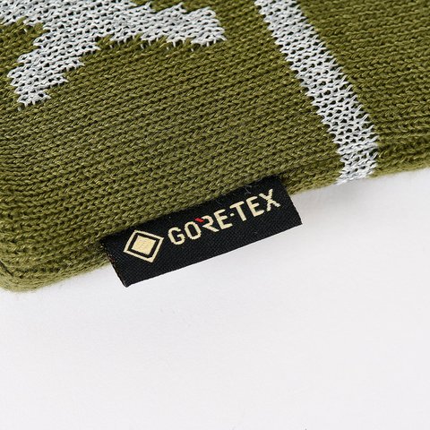 Palace GORE-TEX NEIN CUFF BEANIE THE DEEP GREEN - Colorway