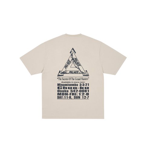 Palace GRAND MASTER T-SHIRT STONEY GREY - Colorway