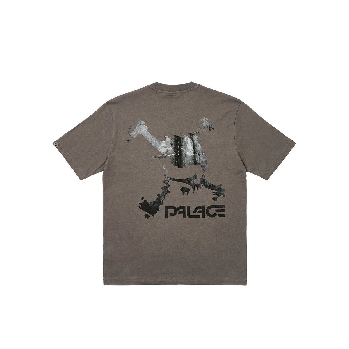 Palace PALACE OAKLEY T-SHIRT GREY (Palace Oakley 2023) - €48.00