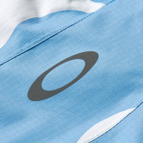 PALACE OAKLEY SNOW JACKET CLOUD