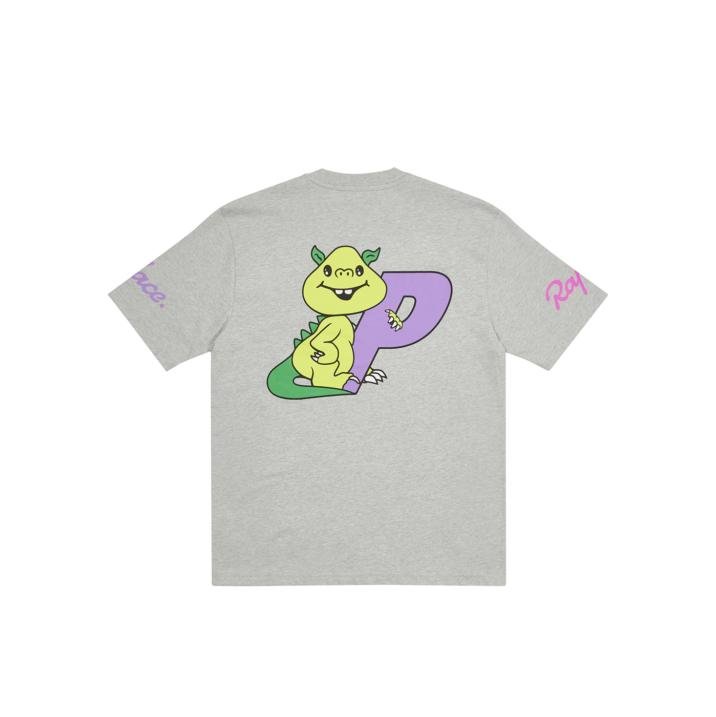 Palace PALACE RAPHA T-SHIRT DRAGON GREY (Palace Rapha 2 2022)