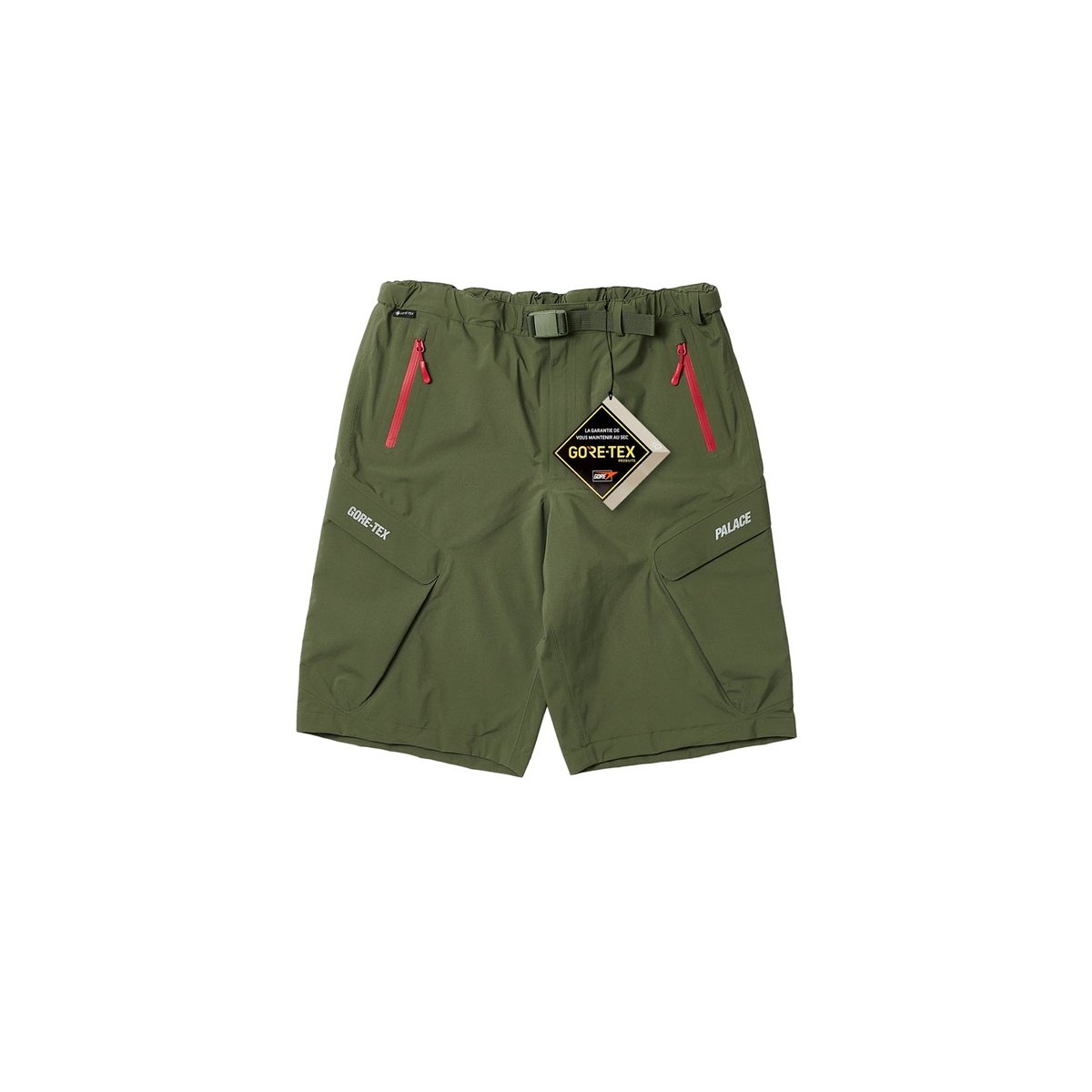 Palace GORE-TEX R-TEK CARGO SHORT OLIVE (Autumn 2023) - $268.00