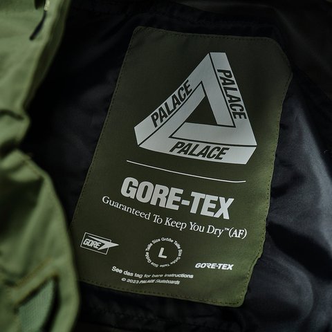 Palace GORE-TEX R-TEK CARGO SHORT OLIVE - Colorway