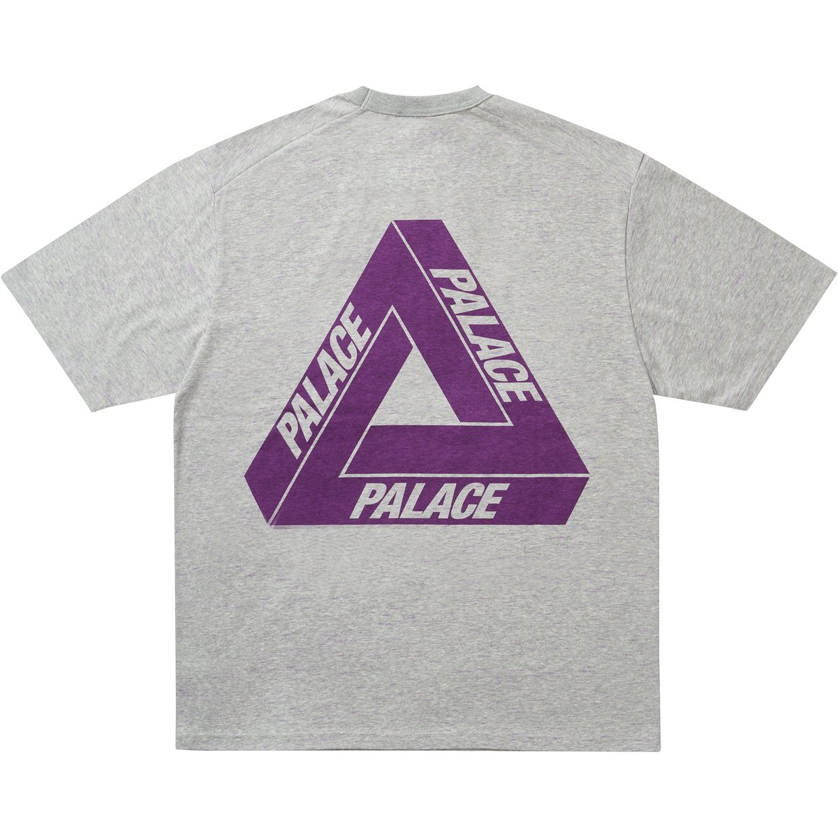 Palace PALACE THE NORTH FACE PURPLE LABEL FIELD GRAPHIC T SHIRT MIX GRAY (Palace The North Face Purple Label 2025)