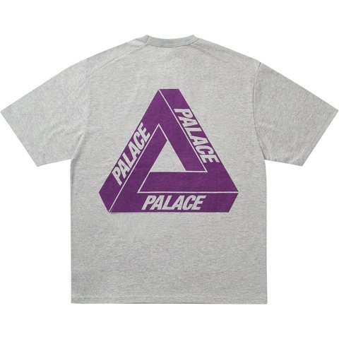 Palace PALACE THE NORTH FACE PURPLE LABEL FIELD GRAPHIC T SHIRT MIX GRAY