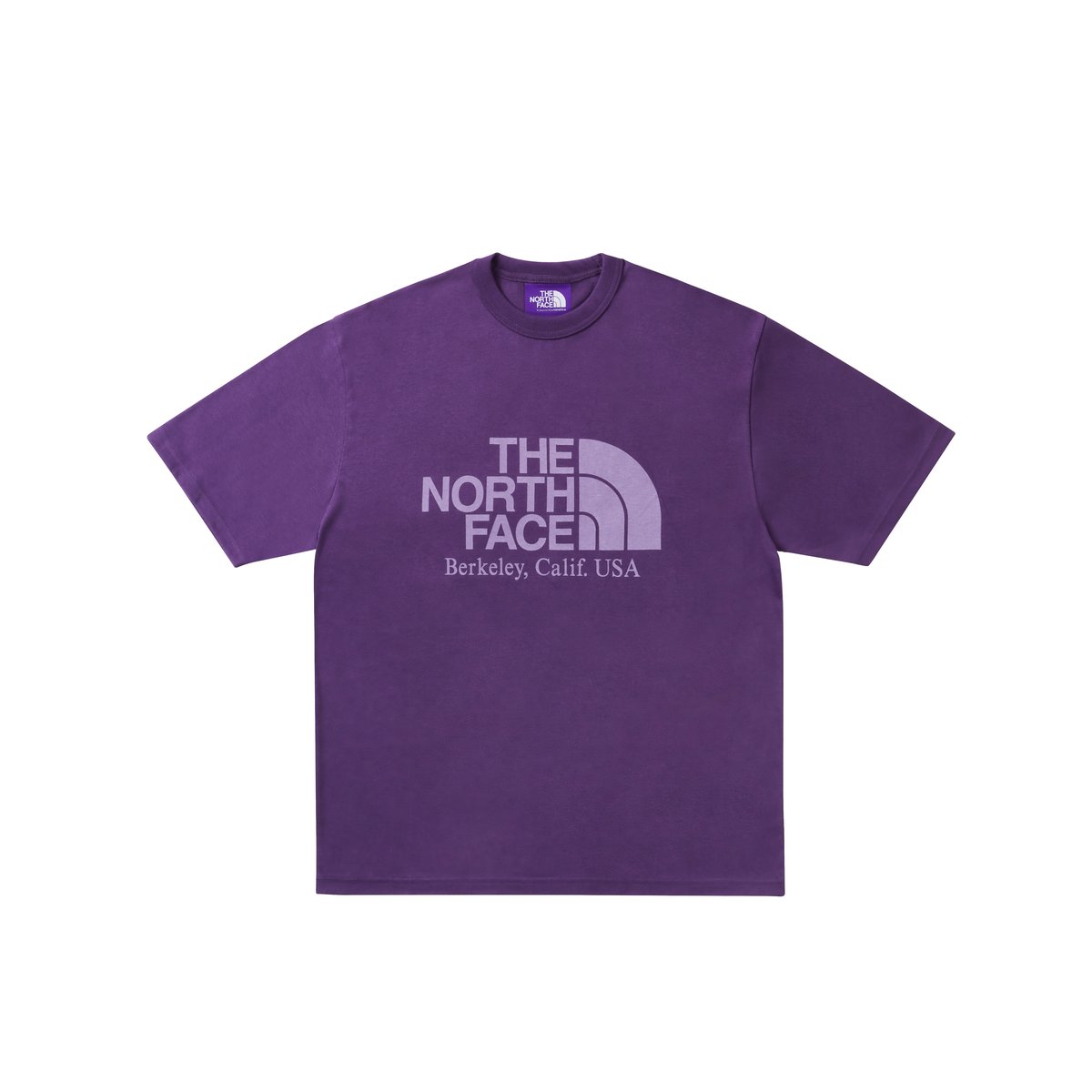 PALACE THE NORTH FACE PURPLE LABEL FIELD GRAPHIC T SHIRT PURPLE