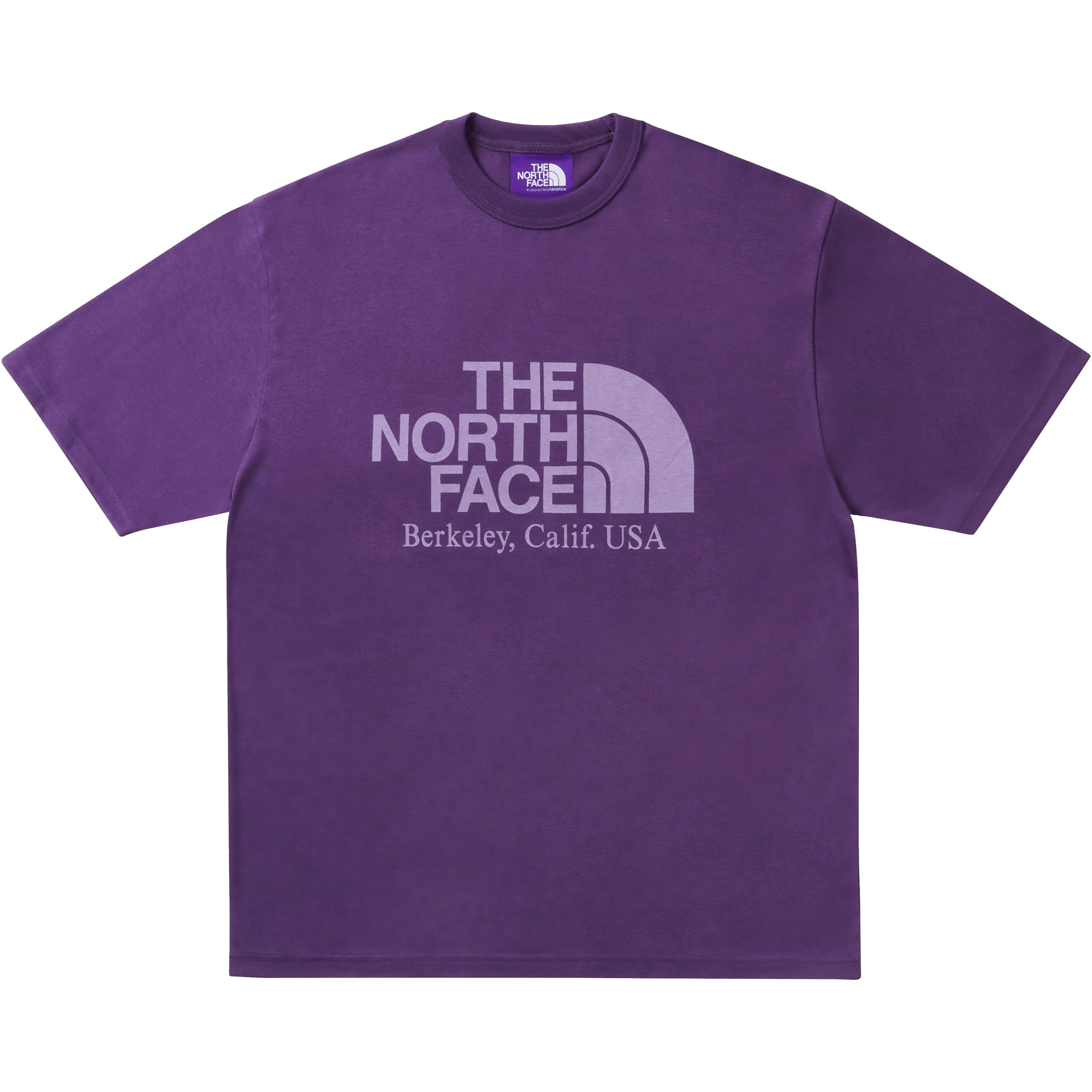 PALACE THE NORTH FACE PURPLE LABEL FIELD GRAPHIC T SHIRT PURPLE