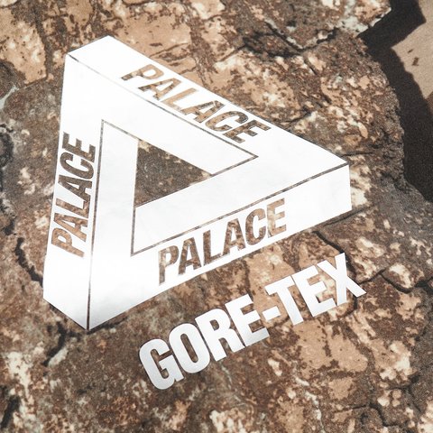 Palace GORE-TEX 3L JACKET REALTREE TIMBER - Colorway