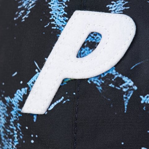 Palace GORE-TEX P 6-PANEL K-NEIN PRINT - Style 4