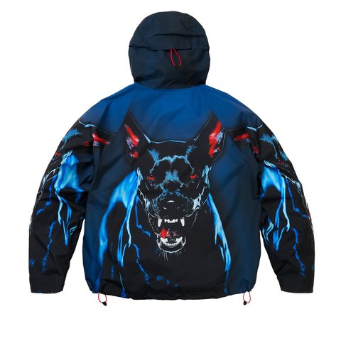 Palace GORE-TEX 2L P-TEK JACKET K-NEIN PRINT - Style 4