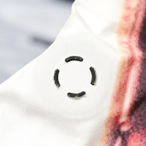 Palace PALACE VIVIENNE WESTWOOD GORE-TEX JACKET COLOUR PRINT - Colorway