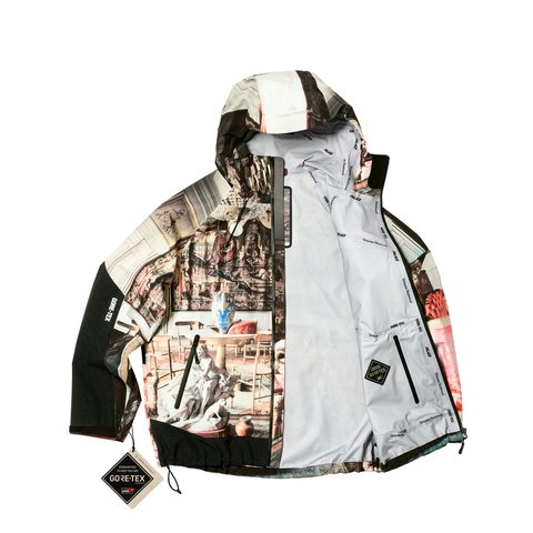 Palace PALACE VIVIENNE WESTWOOD GORE-TEX JACKET COLOUR PRINT - Colorway