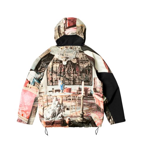 Palace PALACE VIVIENNE WESTWOOD GORE-TEX JACKET COLOUR PRINT - Colorway