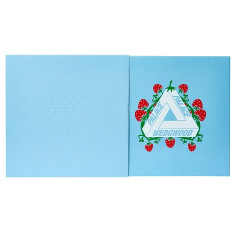 Palace PALACE WEDGWOOD DINNER PLATE WHITE - Colorway