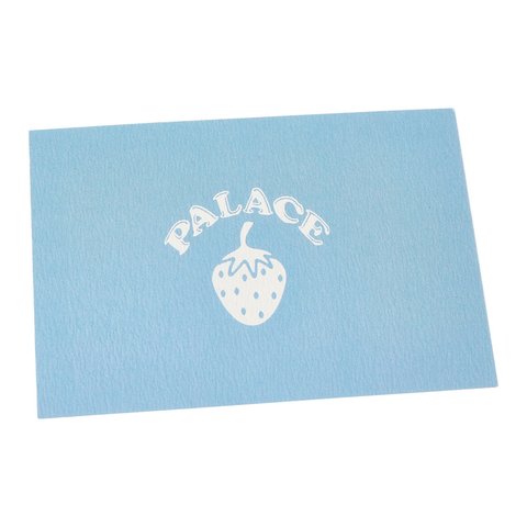 Palace PALACE WEDGWOOD DINNER PLATE WHITE - Colorway