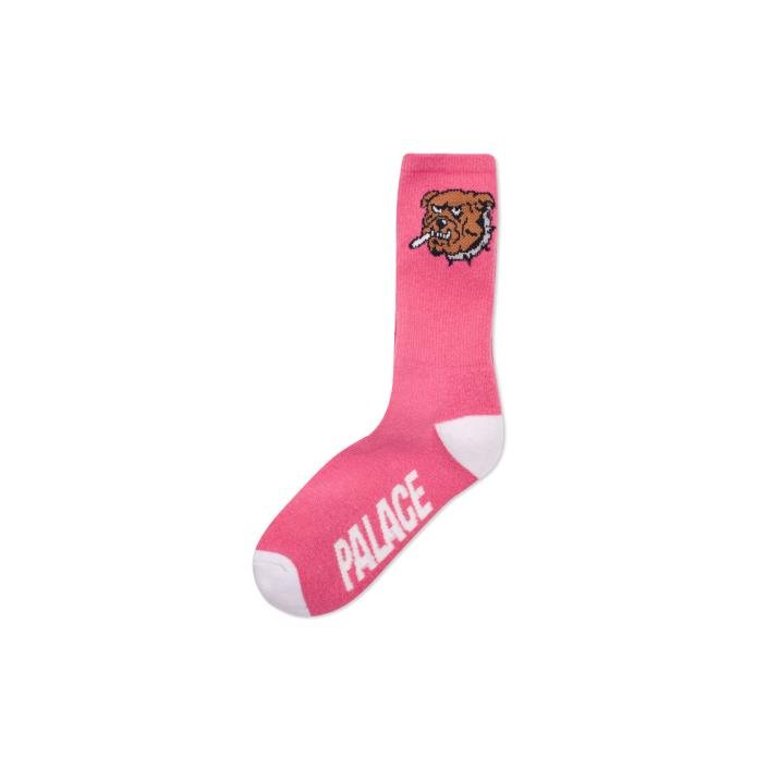 ZOOTED SOCK PINK