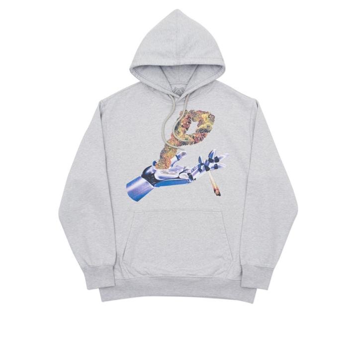 ERGOCHRONIC HOOD GREY MARL