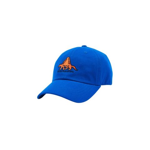 Palace TRIANGLOSAURUS 6-PANEL BLUE