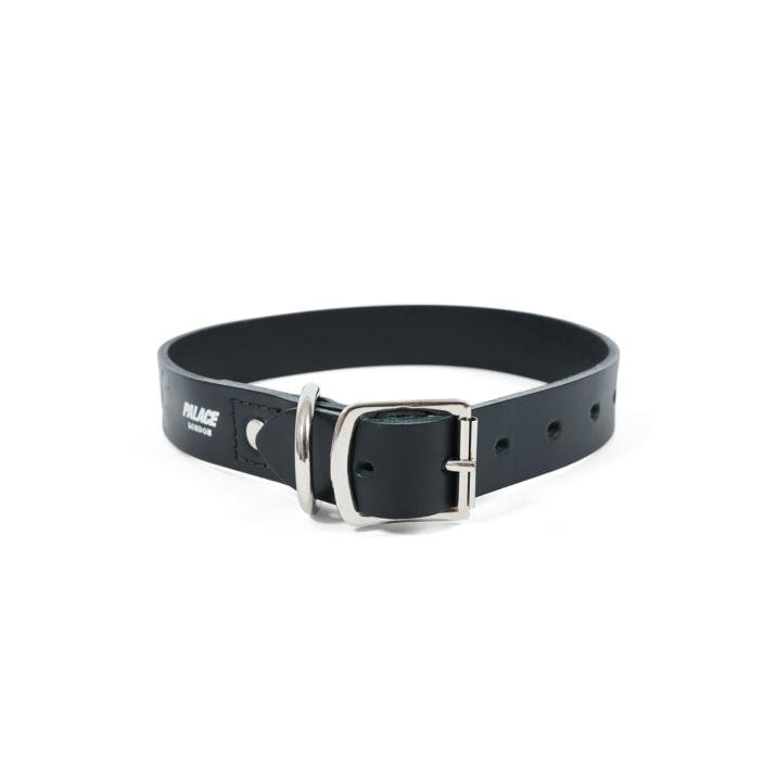 DOG COLLAR