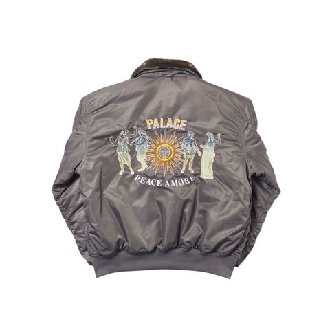 Palace PA-1 JACKET SILVER - Colorway