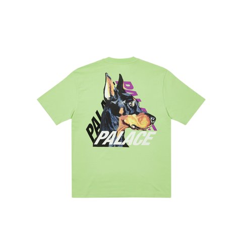 Palace P-3-K-9 T-SHIRT PISTACHIO - Colorway