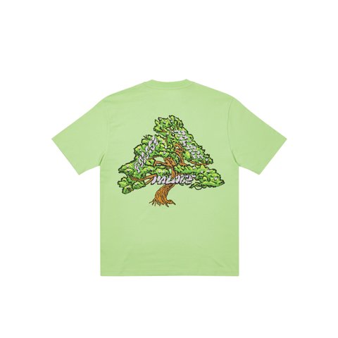 Palace BONSAI T-SHIRT PISTACHIO - Colorway