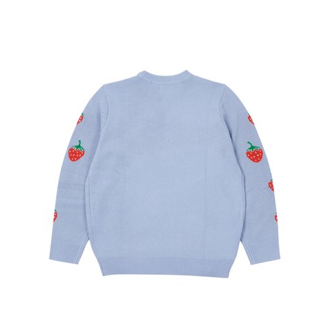 Palace STRAWBERRY KNIT BABY BLUE - Colorway